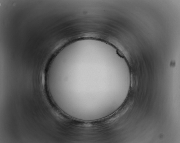 X0000103450253200809121132