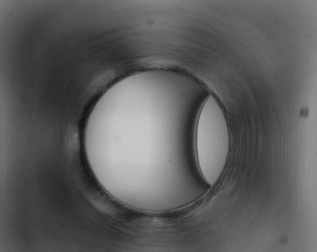 X0000103450254200809121132