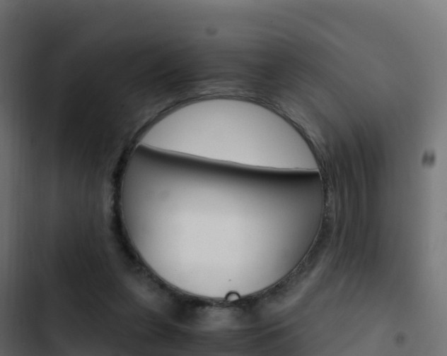 X0000103450255200809121132