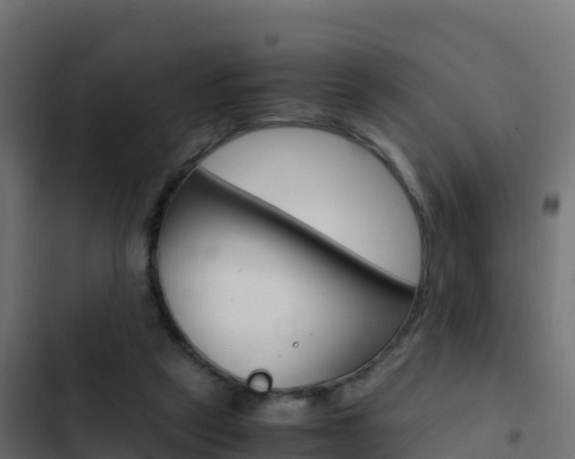 X0000103450257200809121132