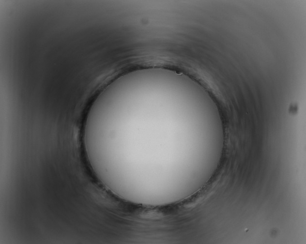 X0000103450258200809121132