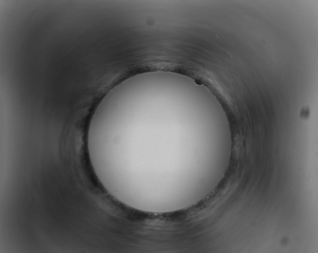 X0000103450259200809121133