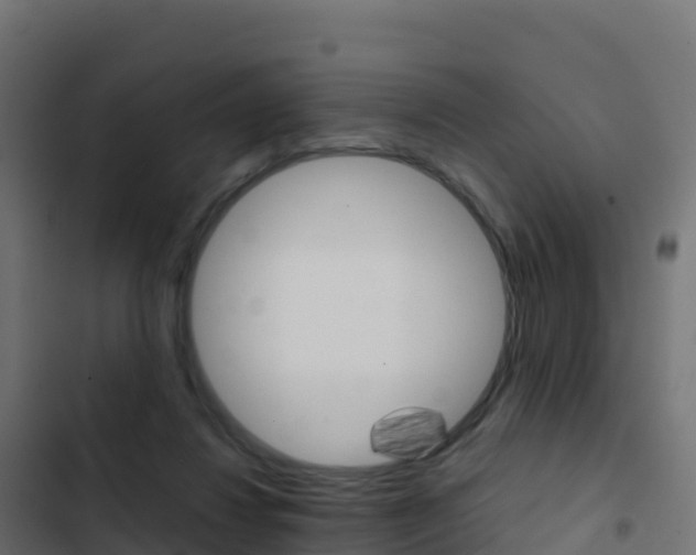 X0000103450260200809121133
