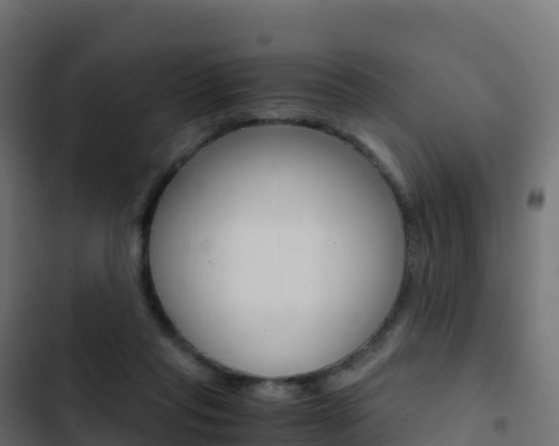 X0000103450261200809121133