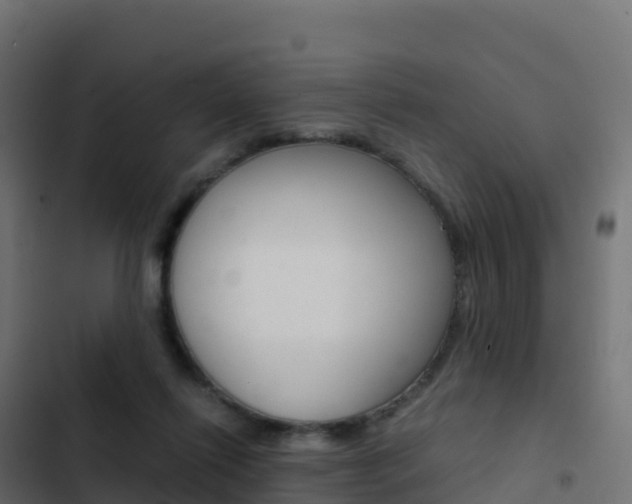 X0000103450262200809121133