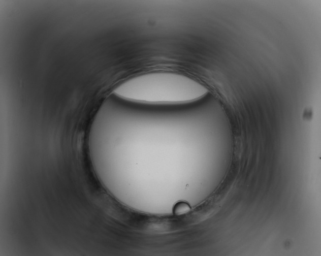 X0000103450263200809121133