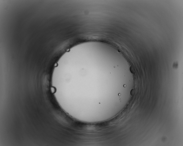 X0000103450264200809121133