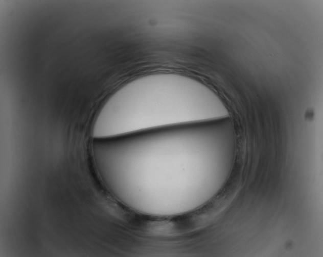 X0000103450266200809121133
