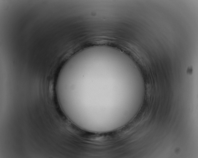 X0000103450267200809121133