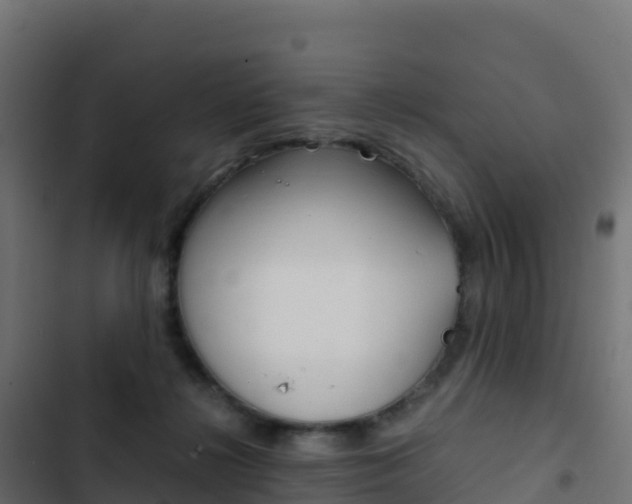 X0000103450268200809121133