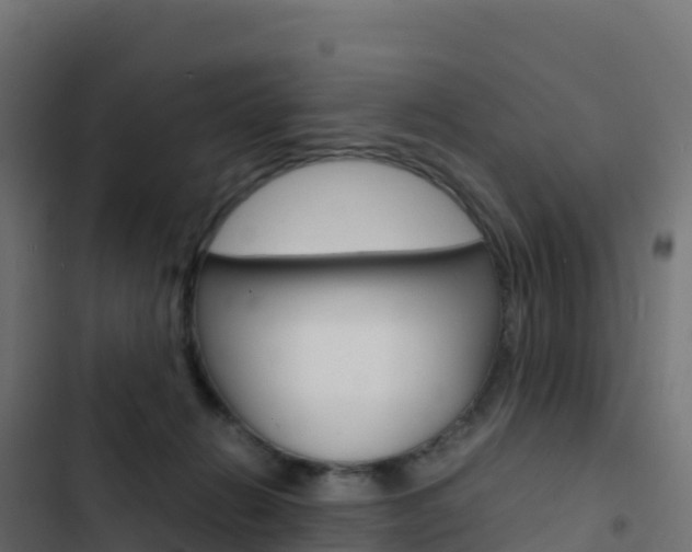 X0000103450270200809121133