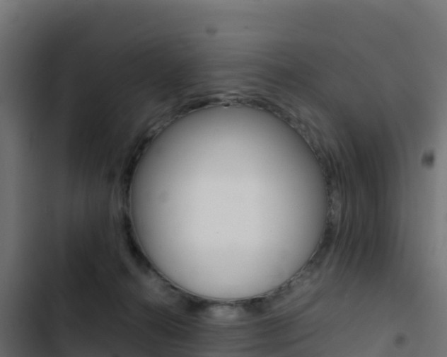X0000103450272200809121133
