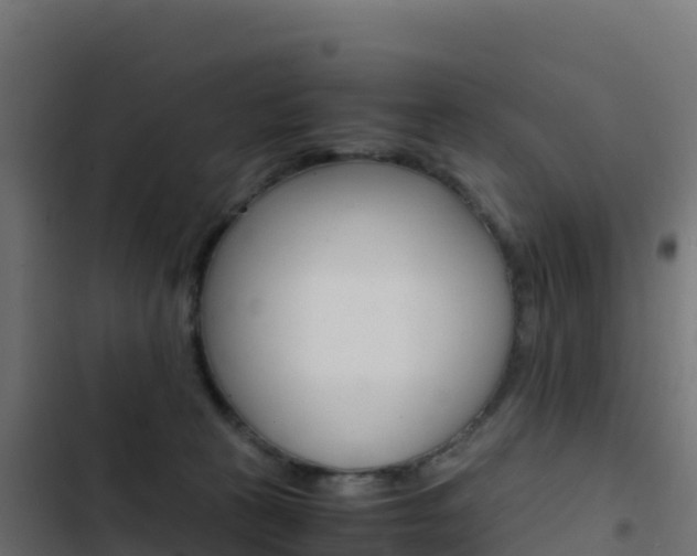 X0000103450273200809121133