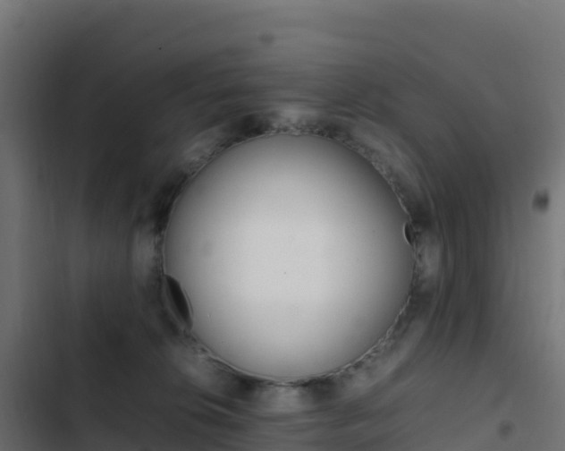 X0000103450276200809121133