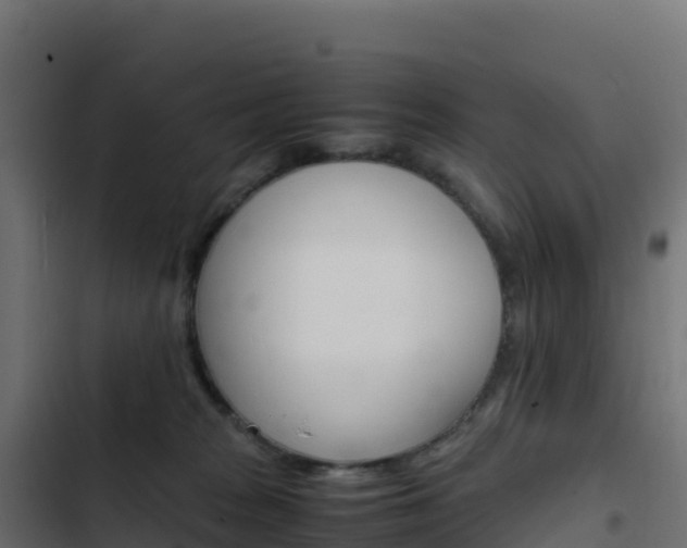 X0000103450277200809121133