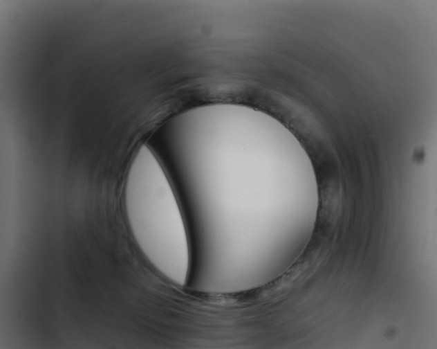 X0000103450278200809121133