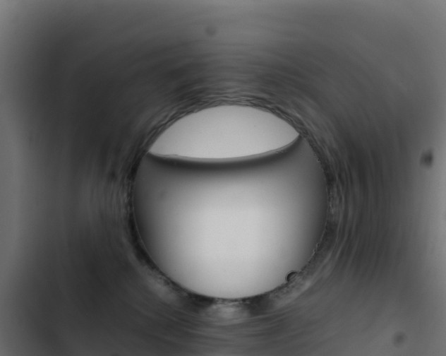 X0000103450280200809121133