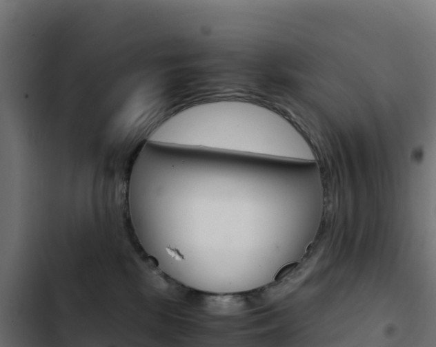 X0000103450281200809121133