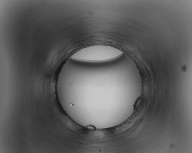 X0000103450282200809121133