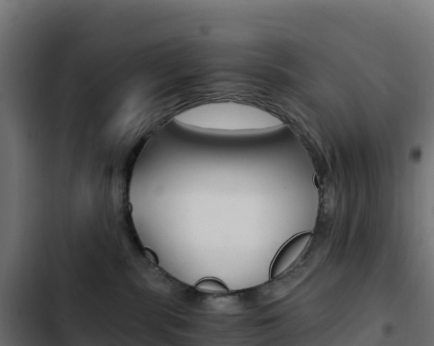X0000103450283200809121133