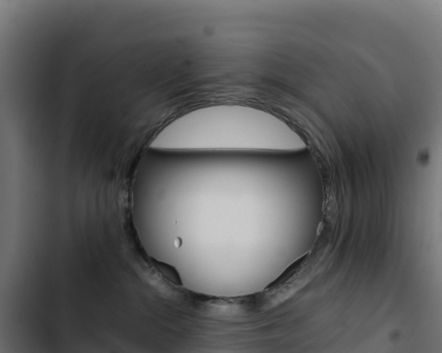 X0000103450284200809121133
