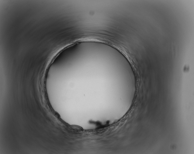 X0000103450289200809121132