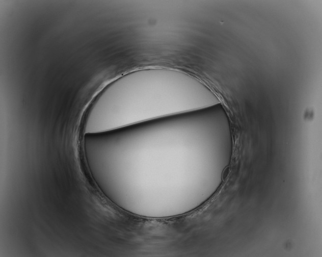 X0000103450290200809121132