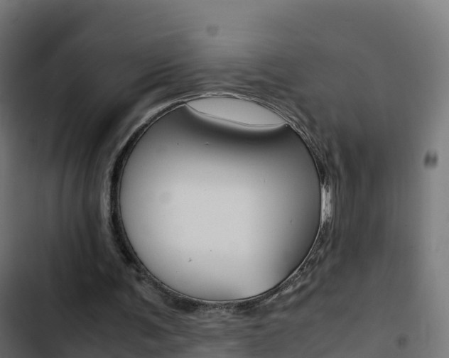 X0000103450291200809121132