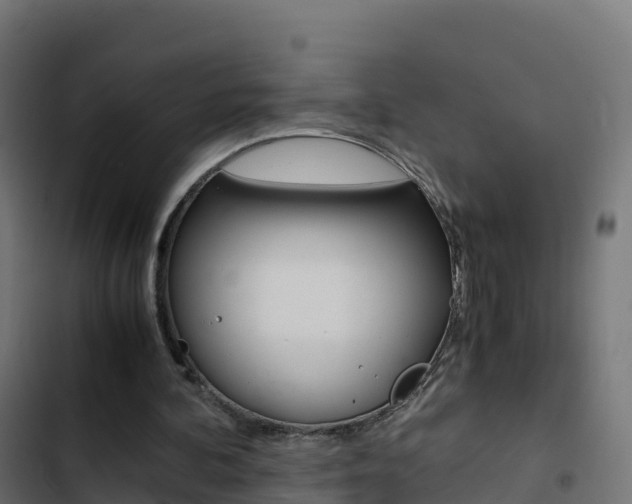 X0000103450292200809121132