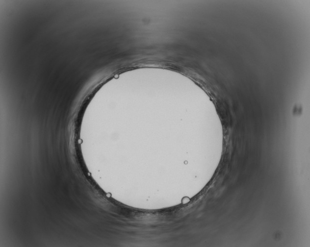 X0000103450293200809121132
