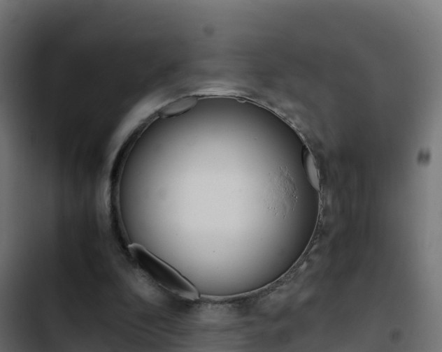 X0000103450296200809121132