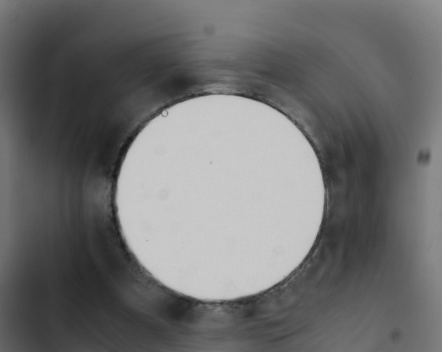 X0000103450297200809121132