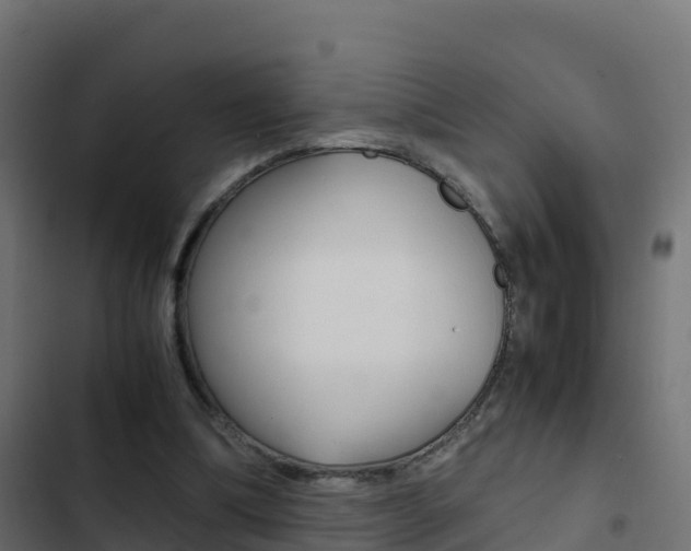 X0000103450298200809121132