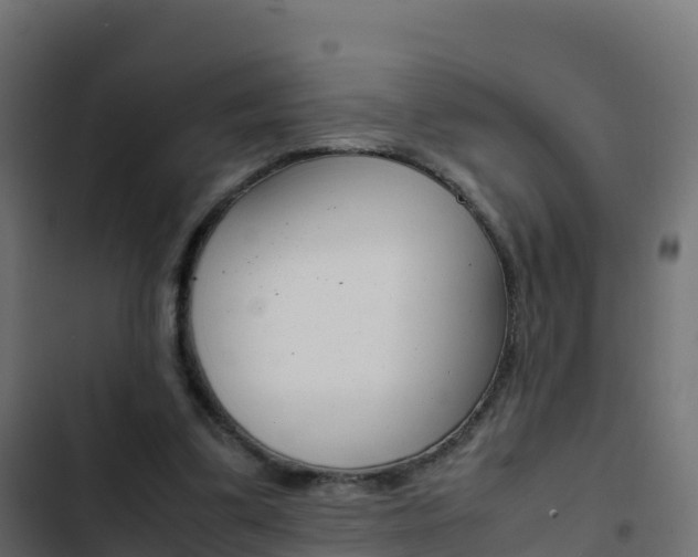 X0000103450299200809121132