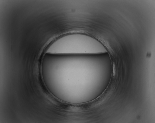 X0000103450300200809121132
