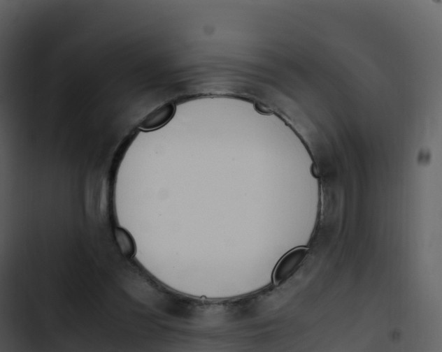 X0000103450301200809121132
