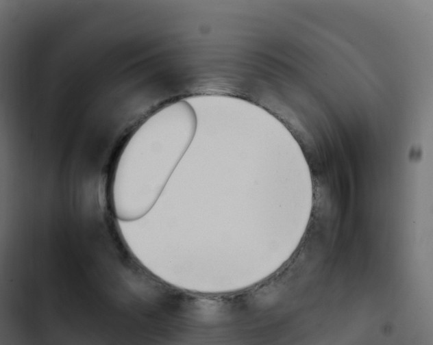 X0000103450302200809121132