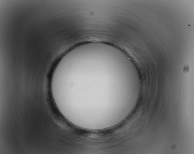 X0000103450303200809121132