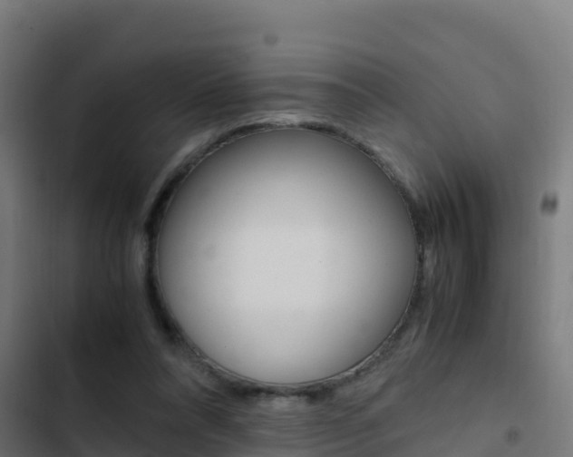 X0000103450304200809121132