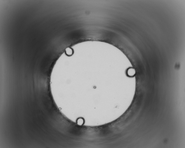 X0000103450305200809121132