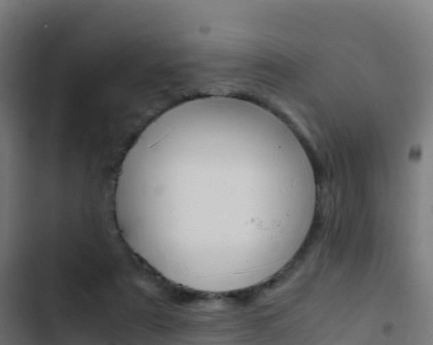 X0000103450307200809121132
