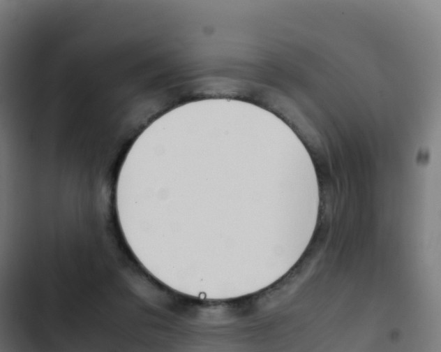 X0000103450309200809121132