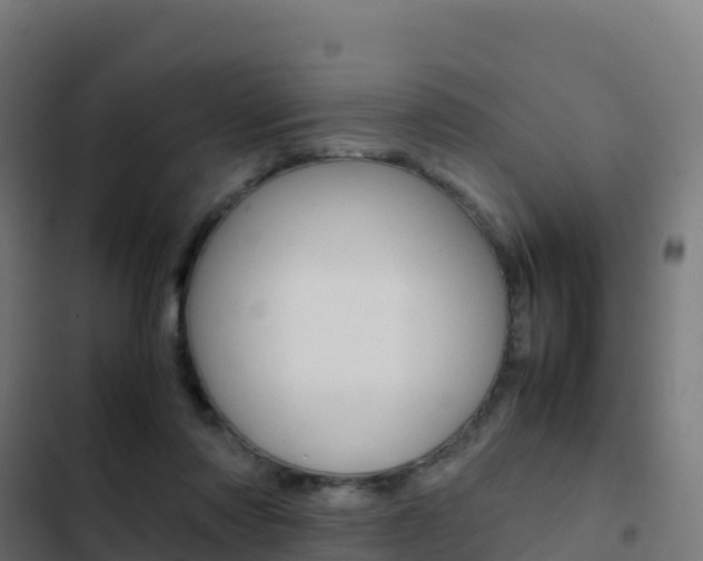 X0000103450310200809121132