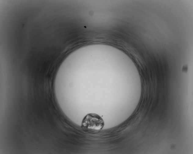 X0000103450312200809121132
