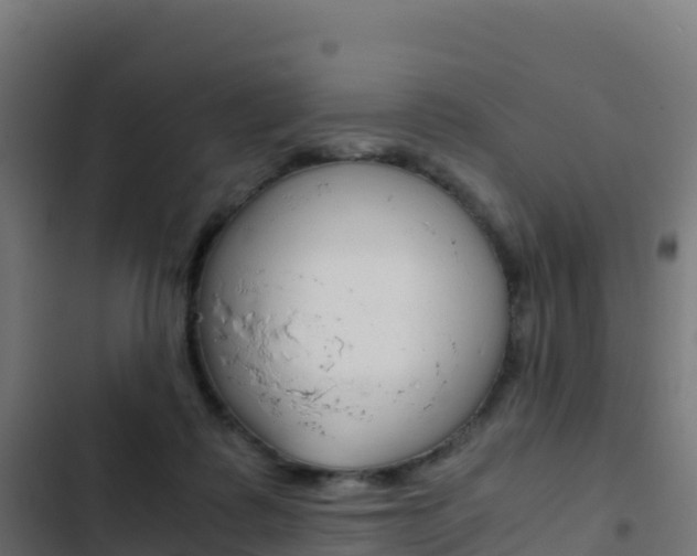 X0000103450315200809121132