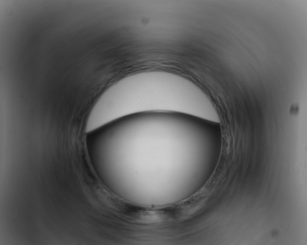 X0000103450316200809121132