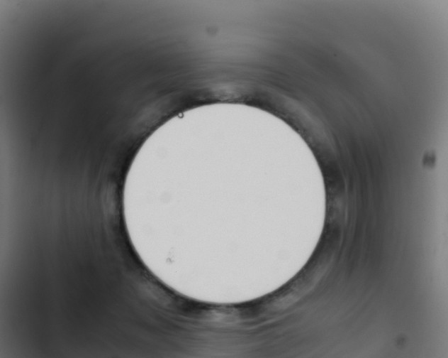 X0000103450317200809121132