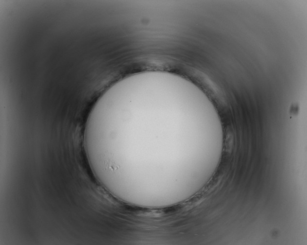 X0000103450318200809121132