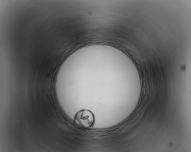 X0000103450320200809121132