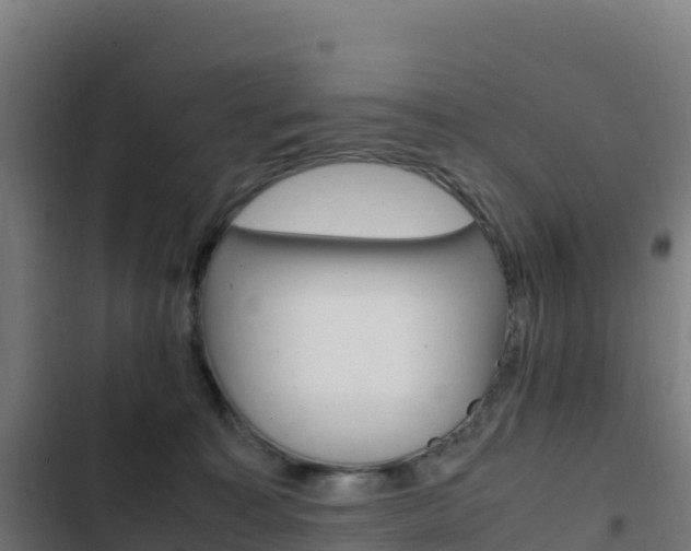 X0000103450323200809121132